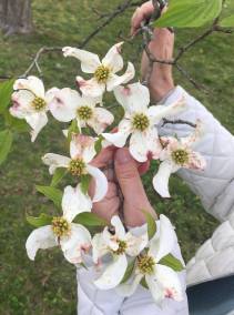 18379132_10100892034932089_1294151425_o